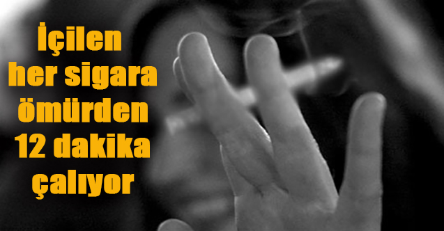 Her gün 300, her yıl 100 bin kişi hayatını kaybediyor