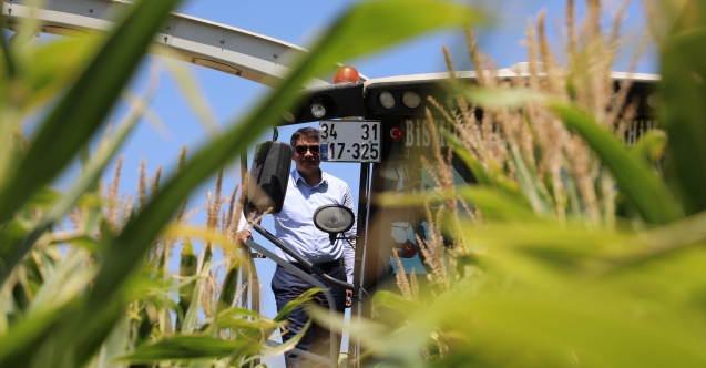 Şehzadeler'de Tarıma Kazandırılan Atıl Arazide İlk Hasat Yapıldı