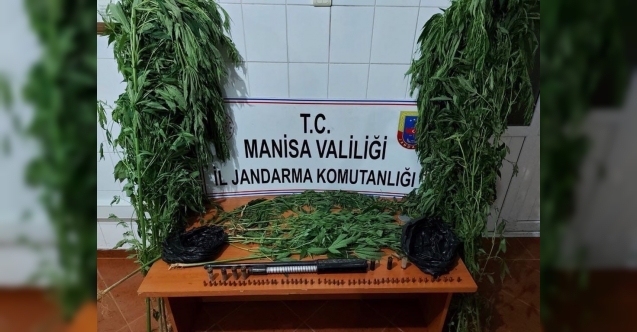 Demirci ve Yunusemre'de uyuşturucu operasyonu