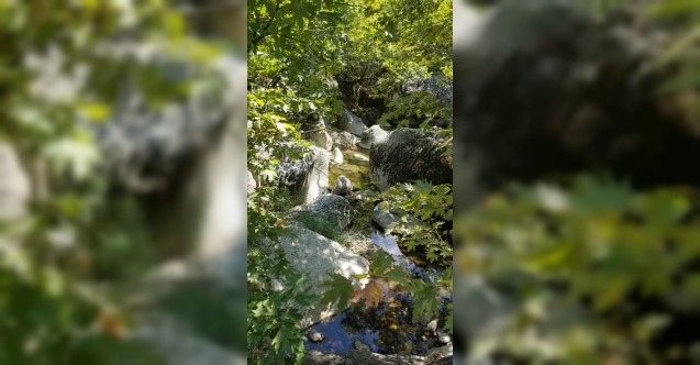 Selendi'de 'Yelimera Doğa Yürüyüşü, Kanyon ve Gençlik Festivali' Yapıldı