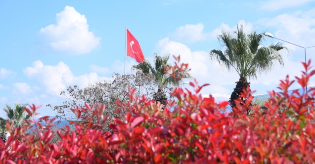 Salihli’de Çiçekler Rengarenk Görüntüleriyle Çevreye Güzellik Katıyor