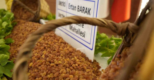 Manisa’nın 9 aylık tarım ihracatı 706,7 milyon dolara ulaştı