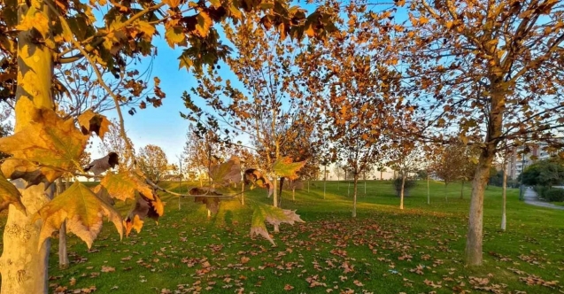 Güzelyurt sonbahar renklerine büründü