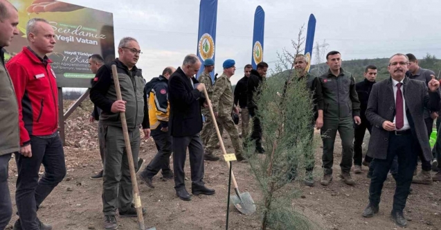 Manisa’da 2025 sonuna kadar 3,1 milyon fidan toprakla buluşacak