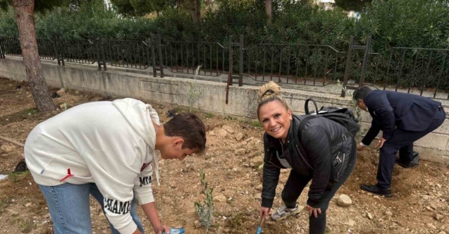 Okul bahçesine 60 zeytin fidanı dikildi