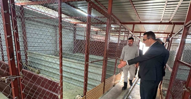 Sarıgöl’de hayvan bakım hizmetlerine yakın takip