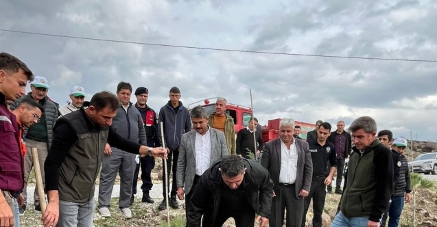 Selendi’de 800 fidan toprakla buluşturuldu