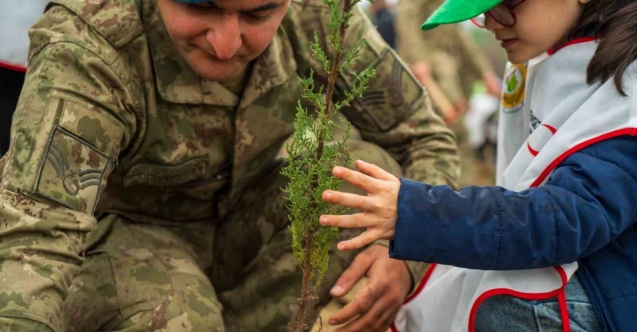 Yangında küle dönen ormanları minik eller yeşertecek