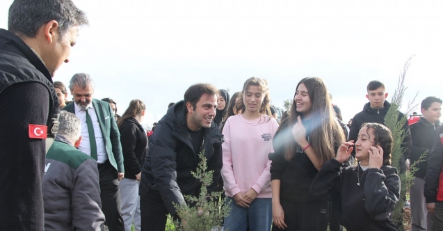 Yangında küle dönen ormanlık alanda fidan diktiler