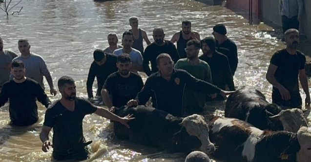 Taşan Gediz Nehri dolayısıyla mahsur kalan 44 kişi ve 127 hayvan kurtarıldı