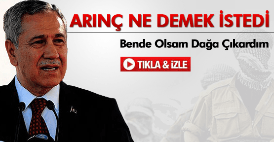 Arınç: BDP'li vekilin yaşadığını yaşasam dağa çıkardım