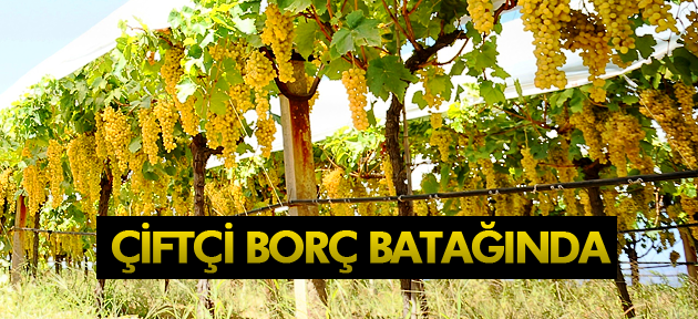 ERKAN AKÇAY ÇİFTÇİ BORÇ BATAĞINDA