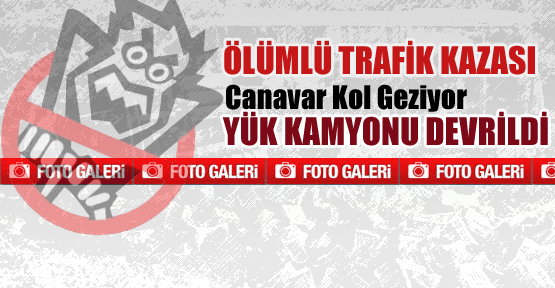 Kiraz Yüklü Kamyon Bağ'a Uçtu
