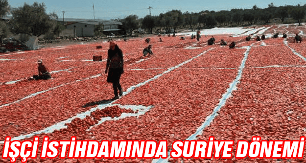 MEVSİMLİK İŞÇİ İSTİHDAMINDA SURİYELİLER DÖNEMİ