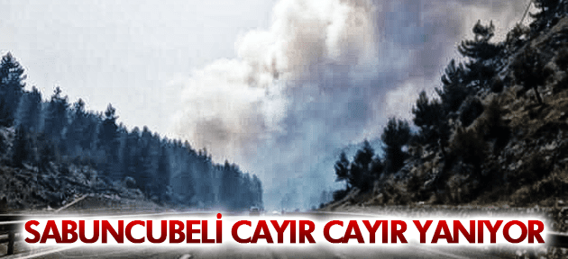 SABUNCUBELİ CAYIR CAYIR YANIYOR