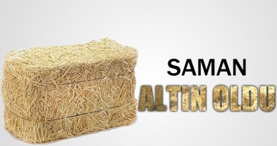 Saman fiyatları yükseldi