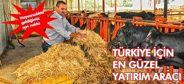 UKRAYNA'DAN 12 TON SAMAN İTHAL ETTİ
