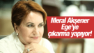 MERAL AKŞENER EGE’YE ÇIKARMA YAPIYOR