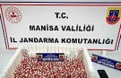 Manisa’da 6 bin 71 sentetik ecza ile yakalanan şüpheli tutuklandı