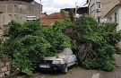 Asırlık ağaç park halindeki aracın üzerine devrildi