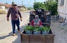 Üzümden önce yaprak kazandırdı