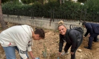 Okul bahçesine 60 zeytin fidanı dikildi