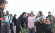 Yangında küle dönen ormanlık alanda fidan diktiler