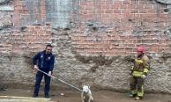Kapalı inşaat çukuruna düşen köpeği itfaiye kurtardı