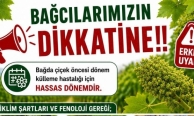 Bağlarda üreticilere ilaçlama uyarısı