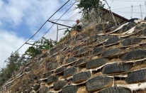 Atık lastiklerle kale gibi duvar ördü