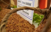 Manisa’nın 9 aylık tarım ihracatı 706,7 milyon dolara ulaştı