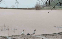 Kuruyan Sülüklü Göl yeniden canlandı