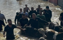 Taşan Gediz Nehri dolayısıyla mahsur kalan 44 kişi ve 127 hayvan kurtarıldı