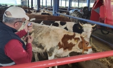 Manisa’da Hayvan Hareketleri Kısıtlaması 28 Nisan’da Sona Eriyor