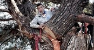 KESTİĞİ DAL AZ DAHA CANINDAN EDİYORDU