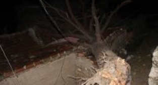 FIRTINADA AĞAÇ EVİN ÜZERİNE YIKILDI