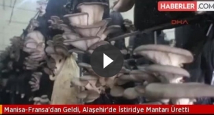 Fransa'dan geldi, Alaşehir'de istiridye mantarı üretti