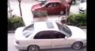 MESİR FESTİVALİNDE ŞÜPHELİ PAKET