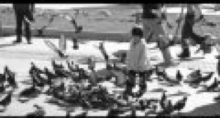 Bahadır YENİŞEHİRLİOĞLU - Aşk Dedin