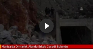 Manisa’da ormanlık alanda erkek cesedi bulundu