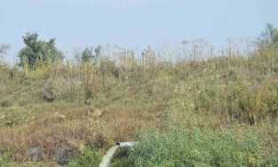 Manisa’da çevre ihlallerine 136 milyon TL’yi aşan ceza