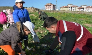 Manisa’da yanan alanlara 100 bininci fidan dikildi