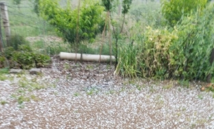 Sarıgöl’de bağlar dolu yağışıyla beyaza büründü