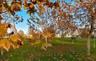Güzelyurt sonbahar renklerine büründü