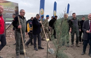 Manisa’da 2025 sonuna kadar 3,1 milyon fidan toprakla buluşacak