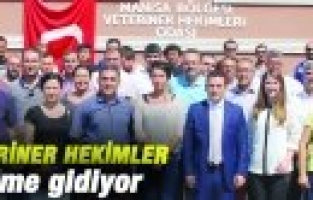 17 İLÇESİYLE MANİSA VETERİNER HEKİMLER SEÇİME GİDİYOR