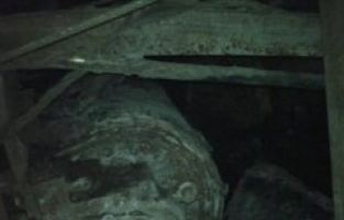 Facianın İlk Fotoğrafı