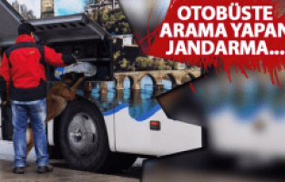 MANİSA'DA 480 ADET EXTACY YAKALANDI!