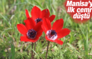 MANİSA’YA İLK CEMRE DÜŞTÜ