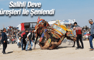 SALİHLİ DEVE GÜREŞLERİ İLE ŞENLENDİ